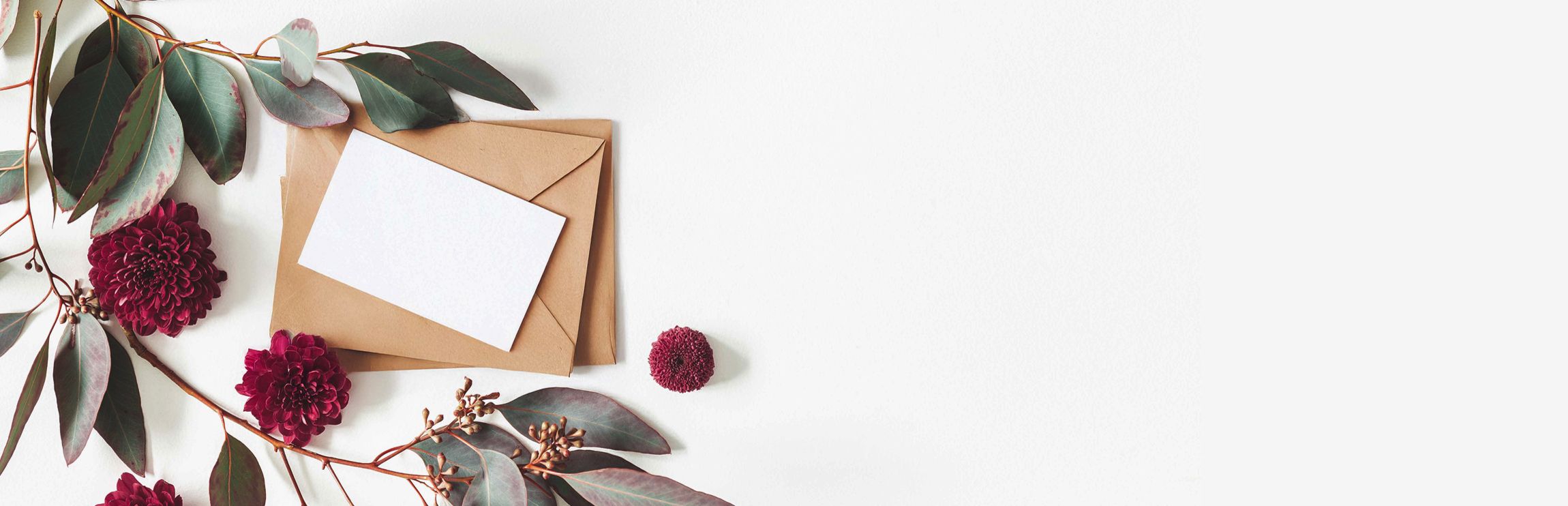 Eukalyptusblüten und ein Umschlag auf einem weißen Hintergrund.